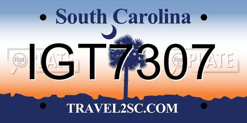 IGT7307 South Carolina License Plate