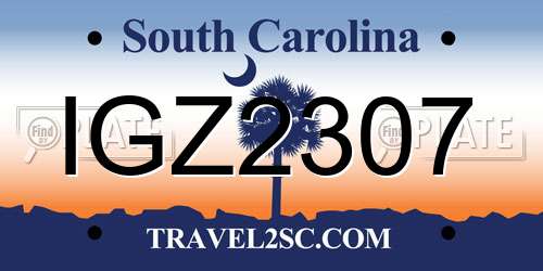 IGZ2307 South Carolina License Plate