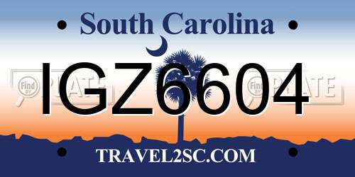 IGZ6604 South Carolina License Plate