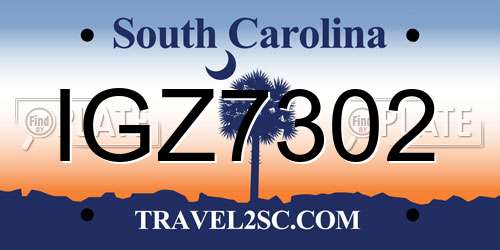 IGZ7302 South Carolina License Plate