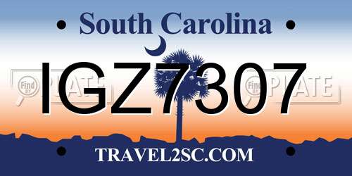 IGZ7307 South Carolina License Plate