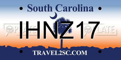 IHNZ17 South Carolina License Plate