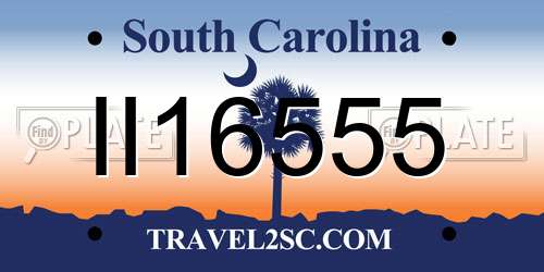 II16555 South Carolina License Plate