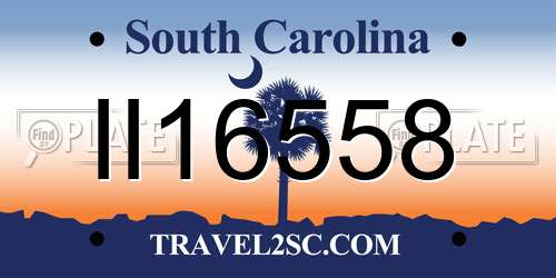 II16558 South Carolina License Plate