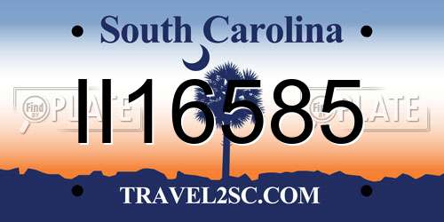 II16585 South Carolina License Plate