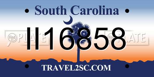 II16858 South Carolina License Plate