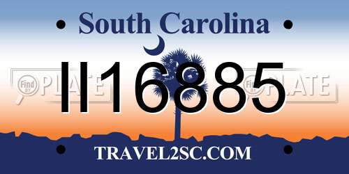 II16885 South Carolina License Plate