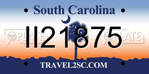 II21875 South Carolina License Plate