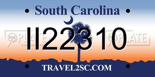 II22310 South Carolina License Plate