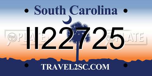 II22725 South Carolina License Plate