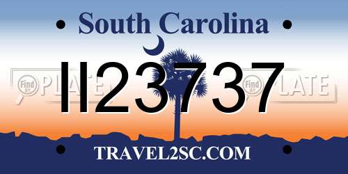 II23737 South Carolina License Plate