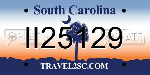 II25129 South Carolina License Plate