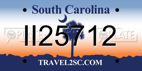 II25712 South Carolina License Plate