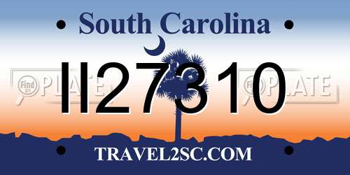 II27310 South Carolina License Plate