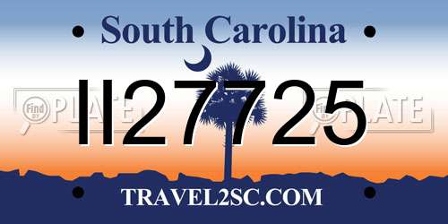II27725 South Carolina License Plate