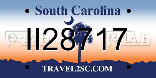 II28717 South Carolina License Plate
