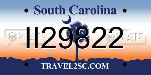 II29822 South Carolina License Plate