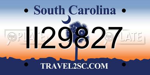 II29827 South Carolina License Plate