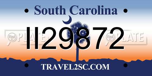 II29872 South Carolina License Plate