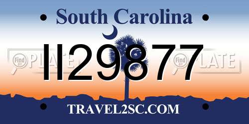 II29877 South Carolina License Plate
