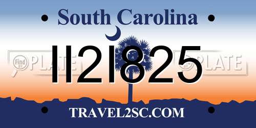 II2I825 South Carolina License Plate