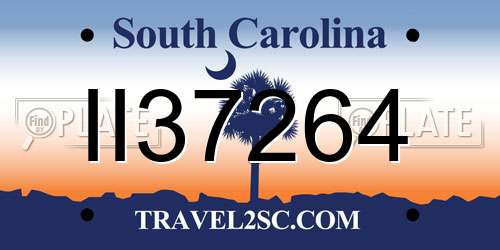 II37264 South Carolina License Plate
