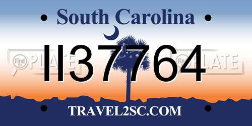 II37764 South Carolina License Plate