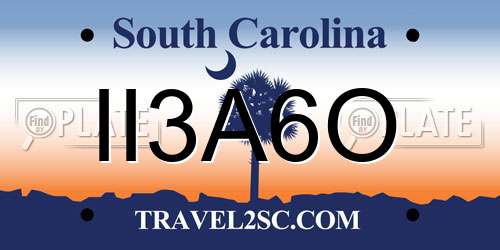 II3A6O South Carolina License Plate