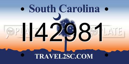 II42981 South Carolina License Plate