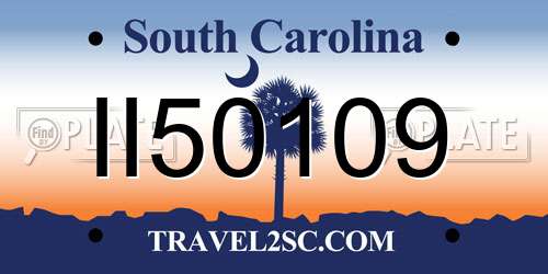 II50109 South Carolina License Plate