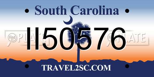 II50576 South Carolina License Plate