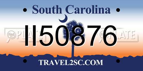 II50876 South Carolina License Plate