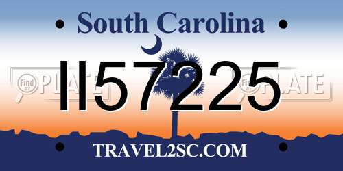 II57225 South Carolina License Plate