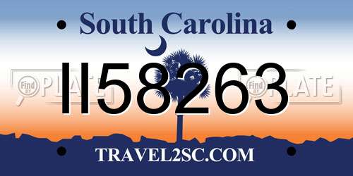 II58263 South Carolina License Plate