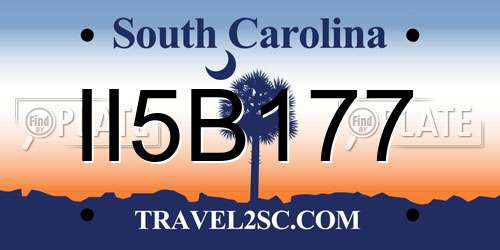 II5B177 South Carolina License Plate