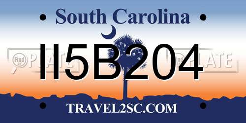 II5B204 South Carolina License Plate