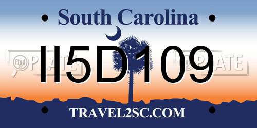 II5D109 South Carolina License Plate