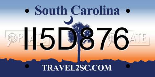 II5D876 South Carolina License Plate