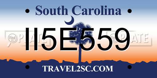II5E559 South Carolina License Plate