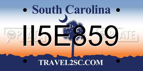 II5E859 South Carolina License Plate