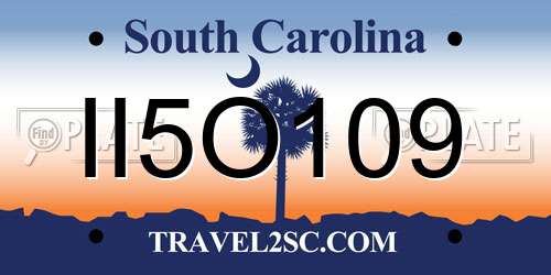 II5O109 South Carolina License Plate