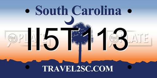 II5T113 South Carolina License Plate