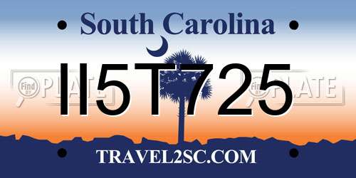 II5T725 South Carolina License Plate