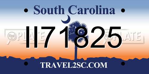 II71825 South Carolina License Plate