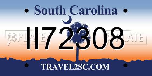 II72308 South Carolina License Plate