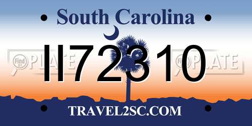 II72310 South Carolina License Plate