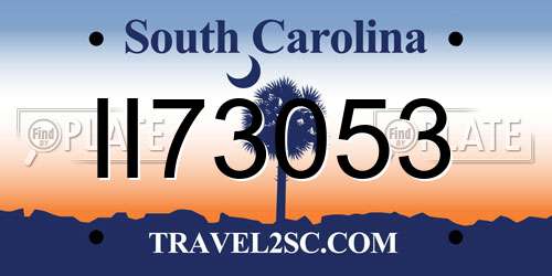 II73053 South Carolina License Plate