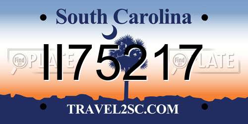 II75217 South Carolina License Plate