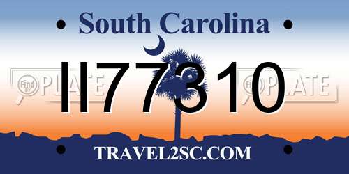 II77310 South Carolina License Plate