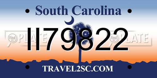 II79822 South Carolina License Plate